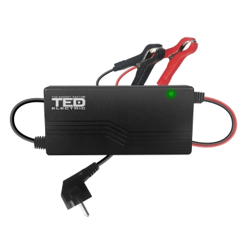 12V 10Ah Charger for 12V AGM Lead Acid Batteries